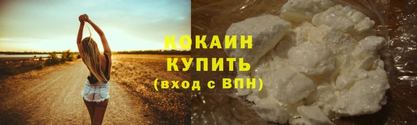 крисы Нея