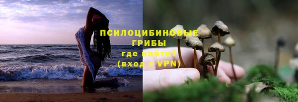 ALPHA PVP Нефтекумск