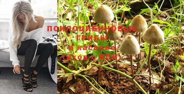 крисы Нея