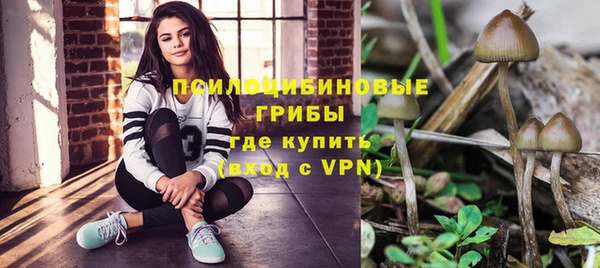 2c-b Нефтегорск