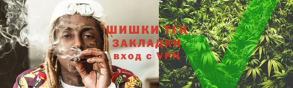 крисы Нея