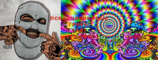 крисы Нея